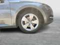 Skoda Superb Ambition TDI Grau - thumbnail 7