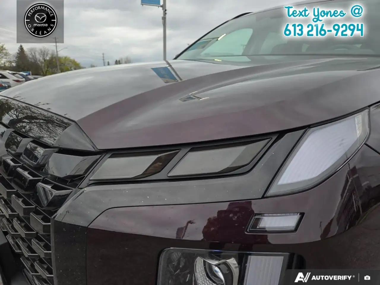 Hyundai PALISADE снимка Hyundai PALISADE