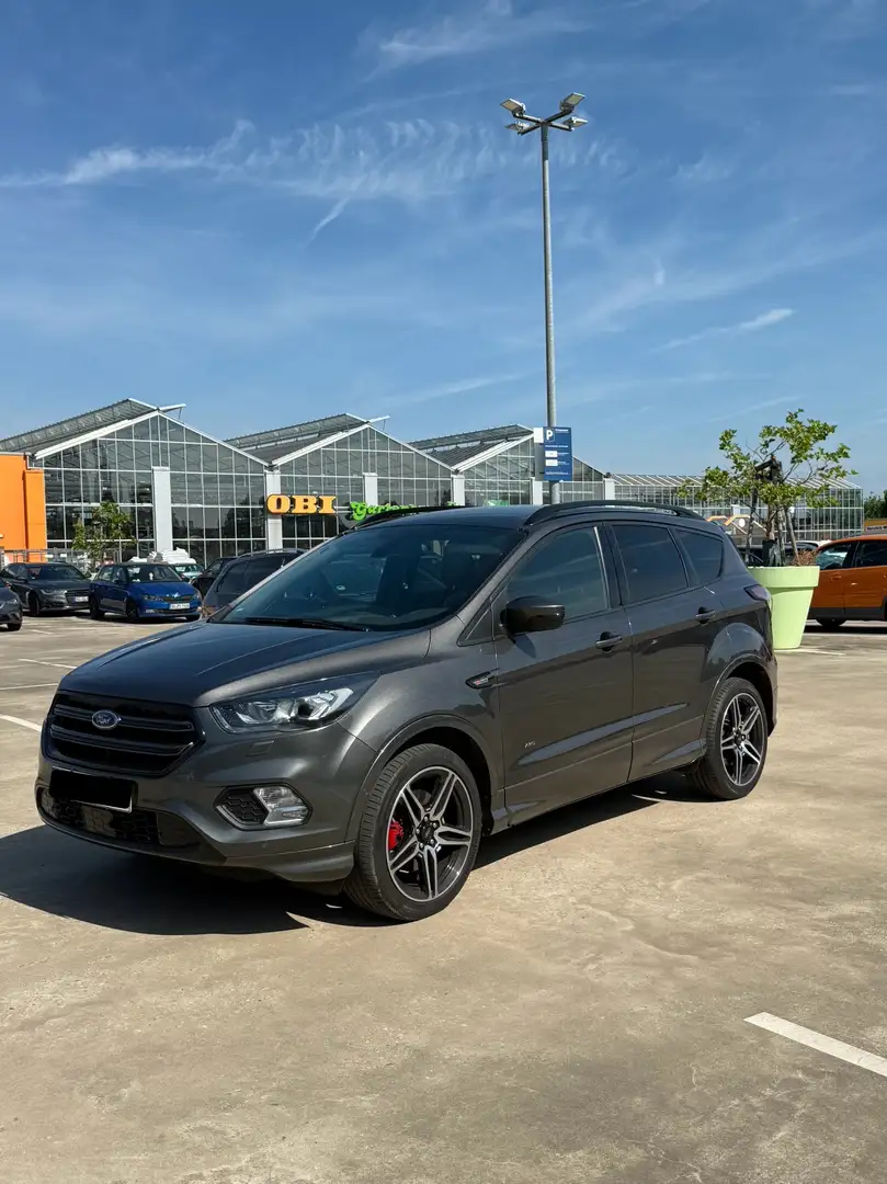 Ford Kuga Ford Kuga ST-line 2.0 TDCi 4x4 TDCI. Aut. ST-Line Grau - 1