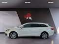 SEAT Leon ST 1.5 eTSI DSG Xcellence LED Navi PDC Weiß - thumbnail 3