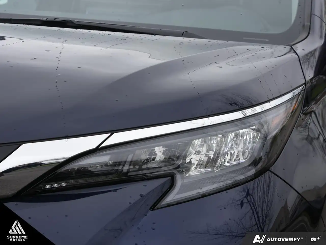 Toyota Sienna fotografie Toyota Sienna