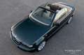 BMW 320 3-serie Cabrio 320Ci Executive NL-auto Grün - thumbnail 14