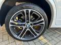 BMW X4 xDrive20d Msport Bianco - thumbnail 8