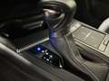 Lexus UX 250h Business Line | Adaptieve cruise control | Achteru Grau - thumbnail 18