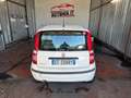 Fiat Panda Panda 1.2 Dynamic GPL Bianco - thumbnail 6