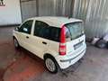 Fiat Panda Panda 1.2 Dynamic GPL Bianco - thumbnail 7