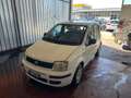 Fiat Panda Panda 1.2 Dynamic GPL Bianco - thumbnail 1