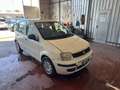 Fiat Panda Panda 1.2 Dynamic GPL Bianco - thumbnail 3