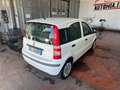 Fiat Panda Panda 1.2 Dynamic GPL Bianco - thumbnail 5
