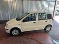 Fiat Panda Panda 1.2 Dynamic GPL Bianco - thumbnail 8