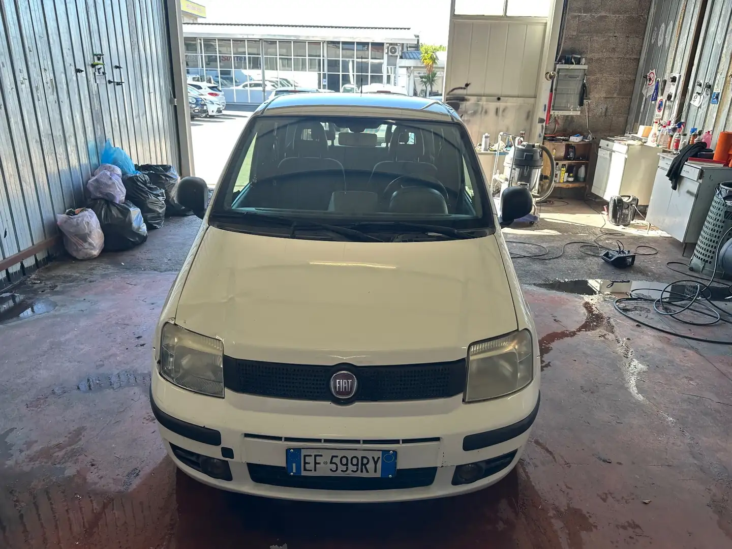 Fiat Panda Panda 1.2 Dynamic GPL Bianco - 2