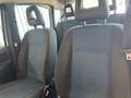 Fiat Panda Panda 1.2 Dynamic GPL Bianco - thumbnail 13