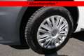 Volkswagen Caddy *rollstuhlgerecht*Wenderampe*Garantie* Weiß - thumbnail 24