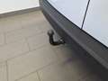 Volkswagen Caddy Cargo Maxi TDI 4MOTION Weiß - thumbnail 14