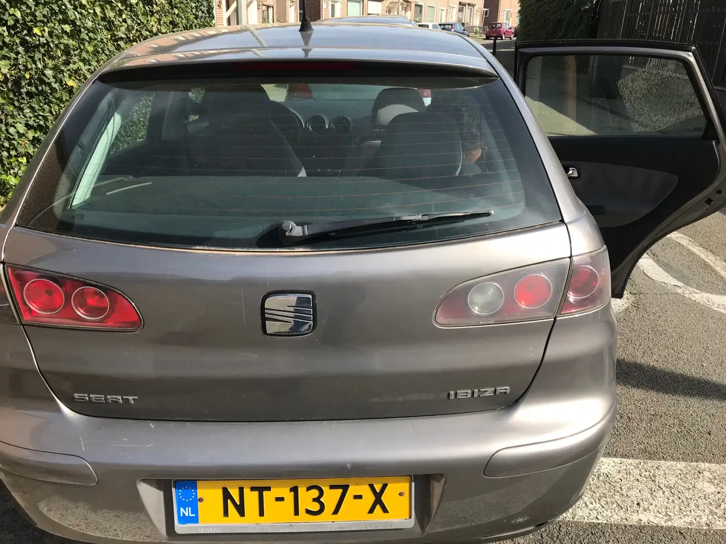 SEAT Ibiza 1.4 Zilver - 1