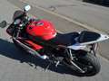Yamaha YZF-R6 Rouge - thumbnail 11