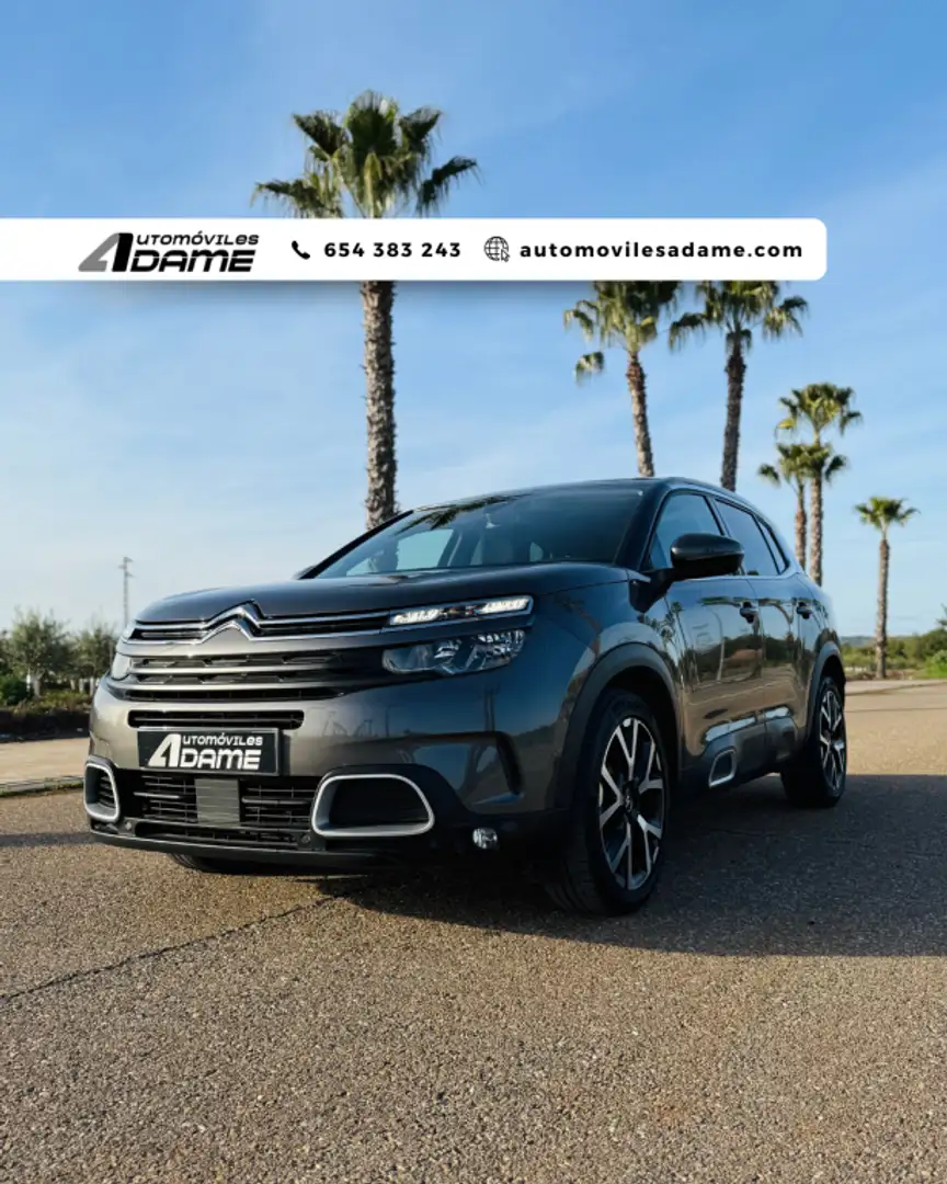 Citroen C5 Aircross BlueHDi S&S Feel 130 Gris - 1