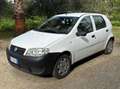 Fiat Punto Punto 5p 1.2 Active Bianco - thumbnail 1