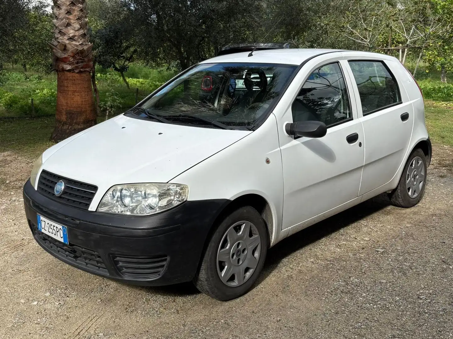 Fiat Punto Punto 5p 1.2 Active Bianco - 1