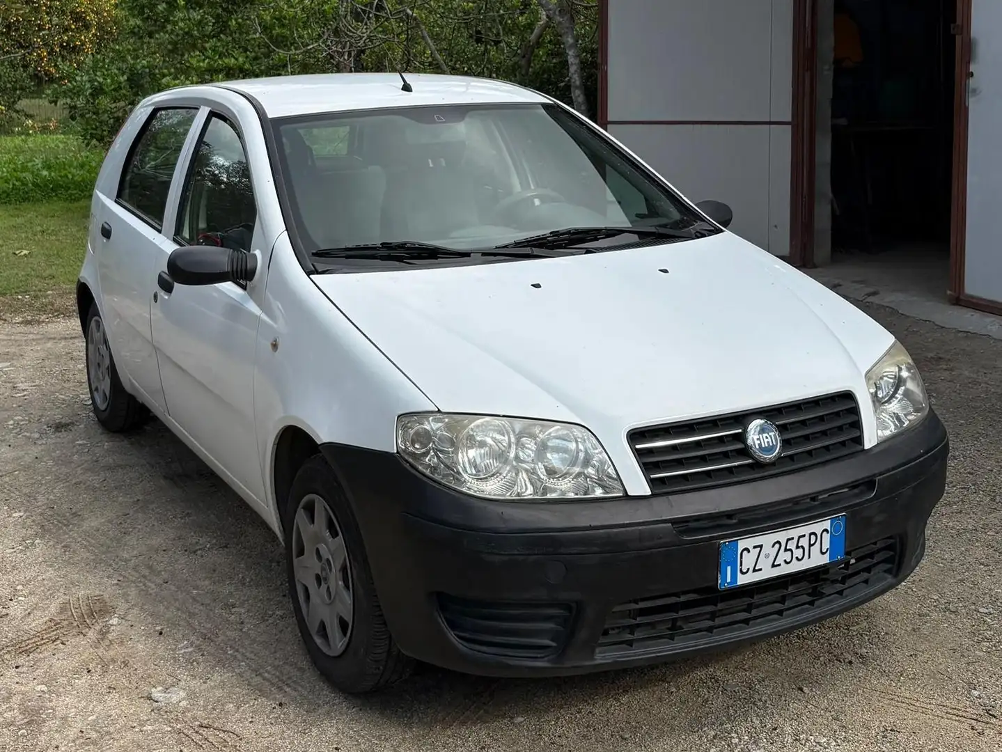 Fiat Punto Punto 5p 1.2 Active Bianco - 2
