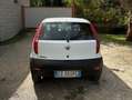 Fiat Punto Punto 5p 1.2 Active Bianco - thumbnail 3