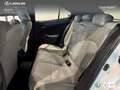 Lexus UX 250h Business 2WD Wit - thumbnail 15