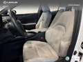 Lexus UX 250h Business 2WD Wit - thumbnail 14