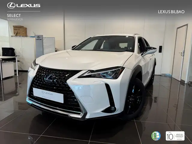 Lexus UX 250h Business 2WD