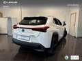 Lexus UX 250h Business 2WD Wit - thumbnail 2