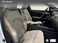 Lexus UX 250h Business 2WD Wit - thumbnail 20