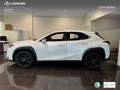 Lexus UX 250h Business 2WD Wit - thumbnail 13