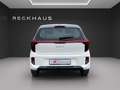 Kia Picanto PE2 1.2 MT VISION Klima Navi Rückfahrkamera Blanc - thumbnail 5