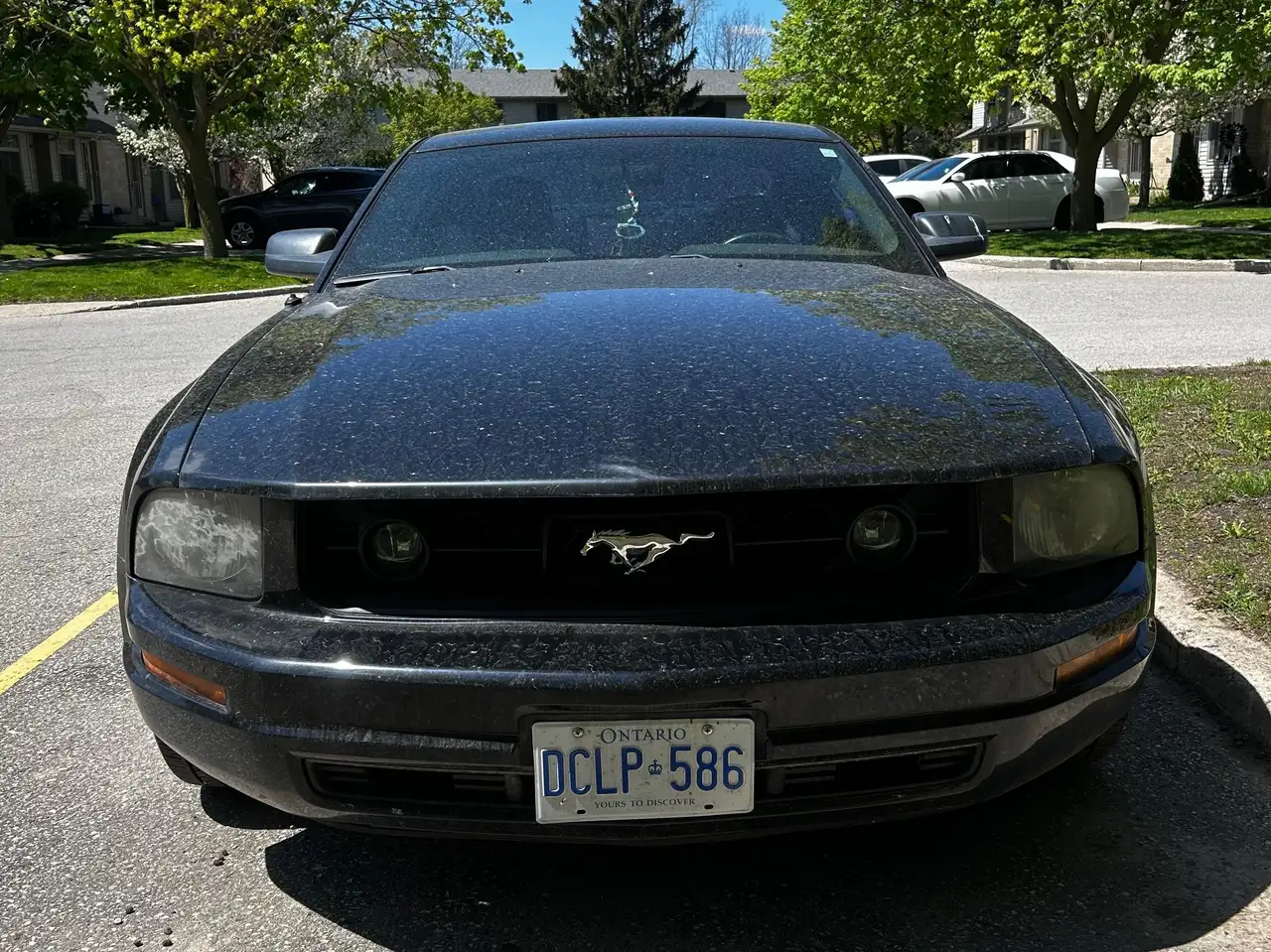 Ford Mustang снимка Ford Mustang