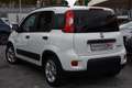 Fiat Panda 1.0 FireFly S&S Hybrid **5 POSTI** Bianco - thumbnail 4