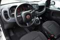 Fiat Panda 1.0 FireFly S&S Hybrid **5 POSTI** Bianco - thumbnail 5