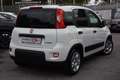 Fiat Panda 1.0 FireFly S&S Hybrid **5 POSTI** Bianco - thumbnail 3