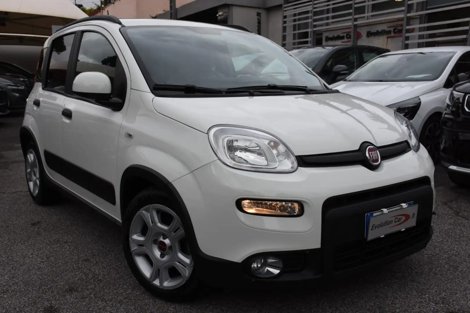 Fiat Panda 1.0 FireFly S&S Hybrid **5 POSTI** Bianco - 2