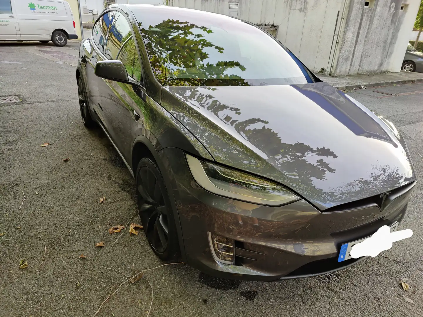 Tesla Model X Model X Performance AWD Performance Серый - 2