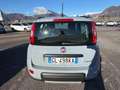 Fiat Panda 1.0 FireFly S&S Hybrid City Life Gris - thumbnail 5