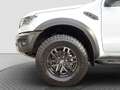 Ford Ranger Raptor Ranger Doppelkabine Raptor 4x4 2,0D Aut. Perfor... Weiß - thumbnail 19