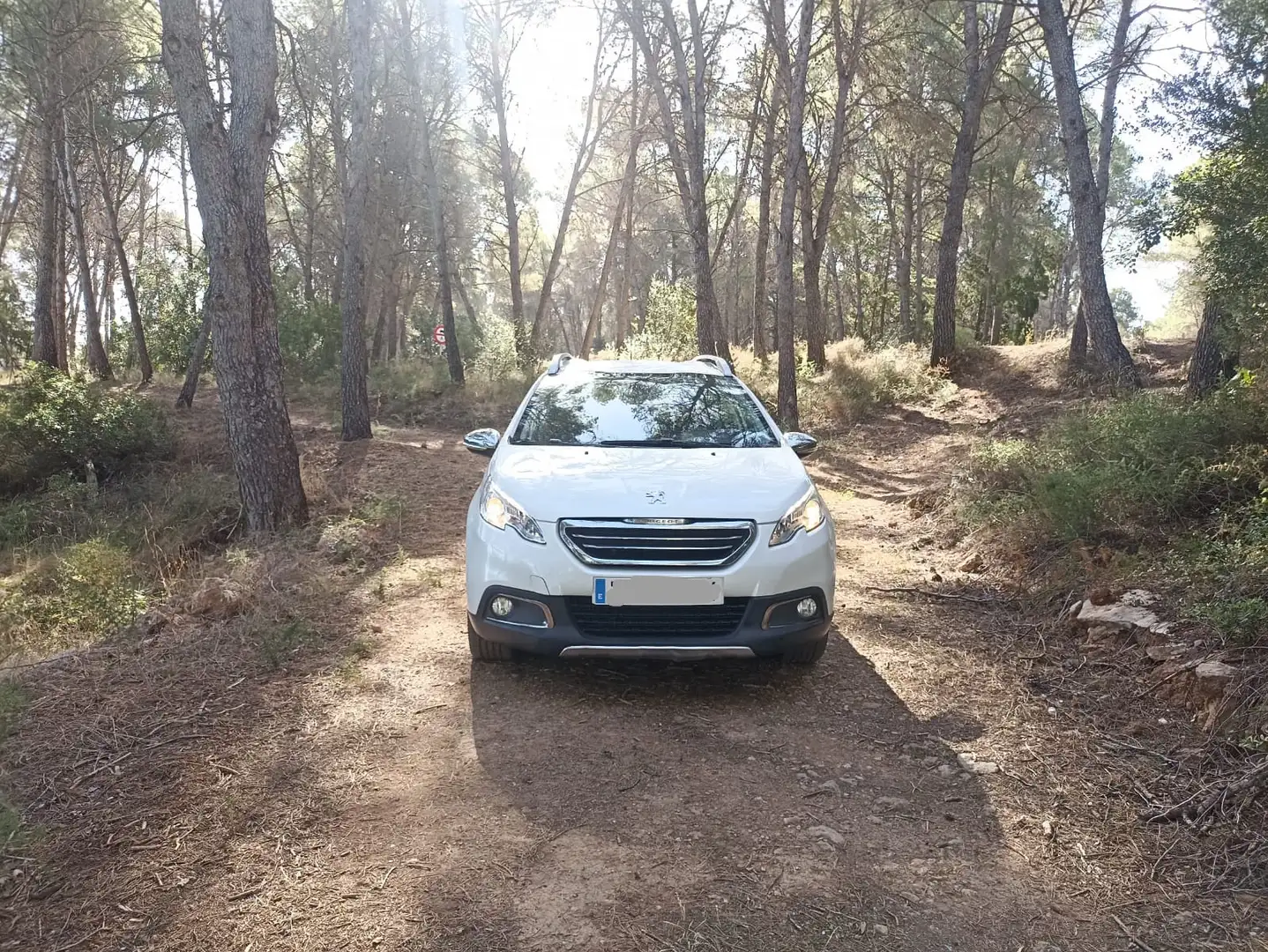 Peugeot 2008 1.6 e-HDI Allure 115 - 2