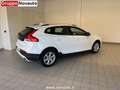 Volvo V40 Cross Country V40 Cross Country D2 Geartronic Bianco - thumbnail 3