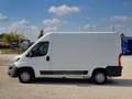 Peugeot Boxer Furgone Bianco - thumbnail 7