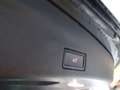 Volkswagen Sharan Business, AHV, Standheizung,..... Grau - thumbnail 14