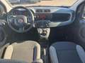 Fiat Panda Panda III 2021 1.0 firefly hybrid s Noir - thumbnail 8