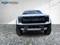 Ford F 150 F150 Raptor 3.5L V6 MY25 Pano*Klap.Auspf.* Wit - thumbnail 8