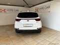 Kia Sportage 1.6 CRDI 115 2WD M.Hyb. Energy Wit - thumbnail 17