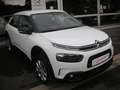 Citroen C4 Cactus C4 Cactus PureTech 110 SHINE Blanc - thumbnail 2