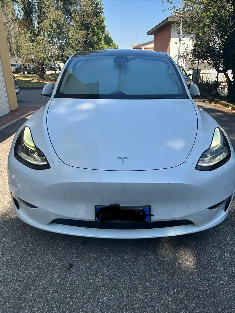Tesla Model Y Dual Motor AWD - 1