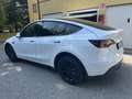 Tesla Model Y Dual Motor AWD - thumbnail 5